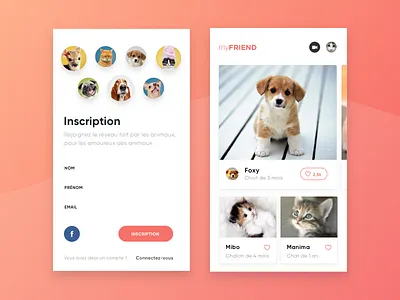 Myfriend animal animals cat cute dog dogs lovecat pet pets pup puppy