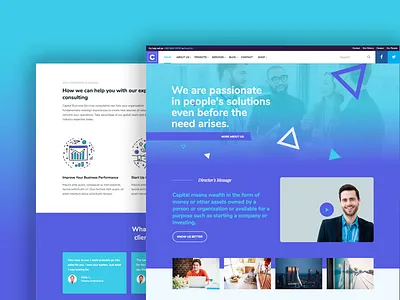 Capital Theme Variation (Shot 2) blue consulting finance html5 insurance wordpress