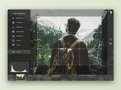 Setting adjustment crop interface photo photography setting ui user ux
