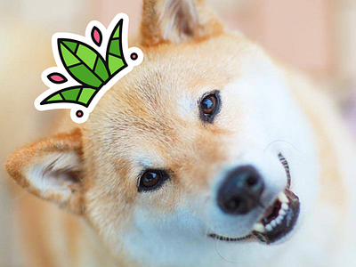 Kingsberry - Dogberry berries berry branding crown diamond dog fun green joke leaves logo shiba inu