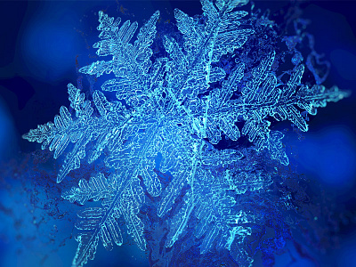 snowflake 3d cinema 4d cold ice particle realflow snow winter zbrush