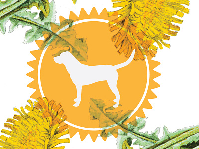 Dr Harvey's WIP botanical design dog floral flower packaging design pet