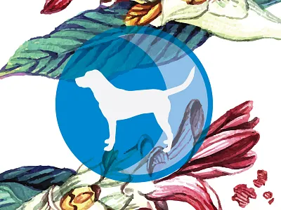 Dr Harvey's WIP Sunset botanical design dog floral packaging design pet sunset wip