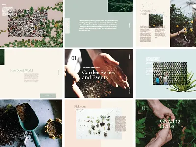 Layout book editorial garden girly layout modern pastels plants serif soft succulents typography