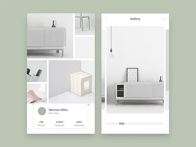 Photo Gallery concept interface ios photo social ui view