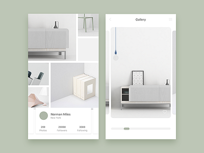 Photo Gallery concept interface ios photo social ui view