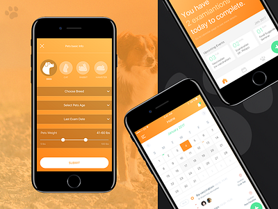 Vet clinic app app booking calendar cards clean content interaction ios mobile pet ui ux