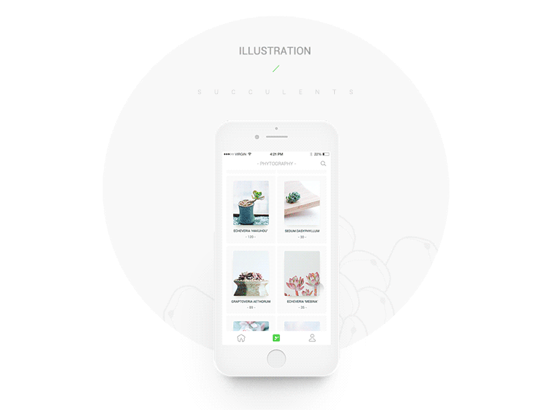 succulents - concept edition app clean concept edition interesting interface plant succulents ui