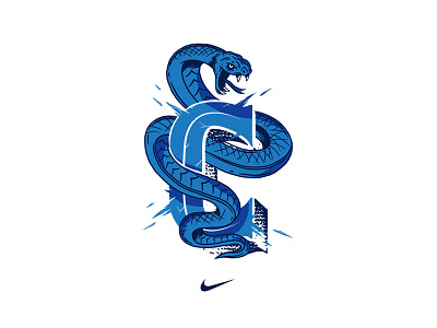 ¨COAPA¨ For NIKE FIRE&ICE coapa fireaice nike serpiente