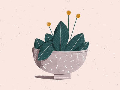 a plant... again. 2d illustration photoshop plant styleframe texture