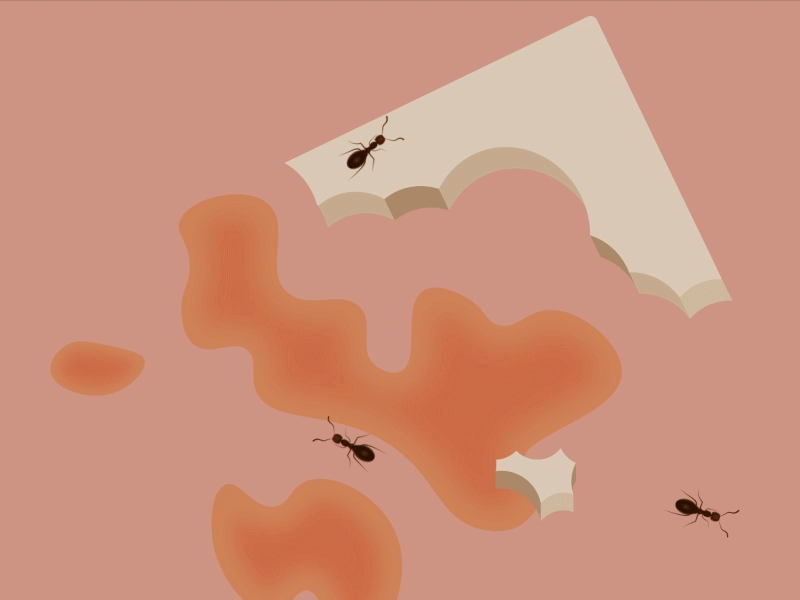 The Ants are Jammin' Again ants illustrator after affects gif illustration insects jam pink