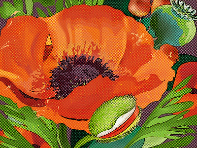 Poppy Halftone flower illustration paula hanna poppy poppyseed red