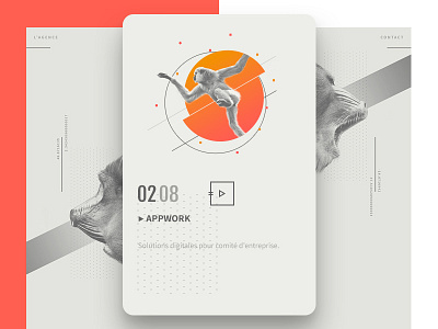 La Cage Aux Singes dribbble grey monkey orange portfolio shadow wip work in progress