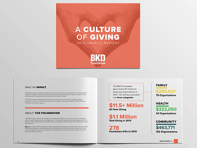 BKD Foundation 2015 Impact Report a4 annualreport editorial illustrator indesign palette photoshop proximanova