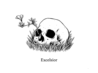 Excelsior flower grass illustration ink skull