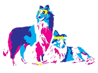 Science & Sport athlete collie dogs nerd science sport