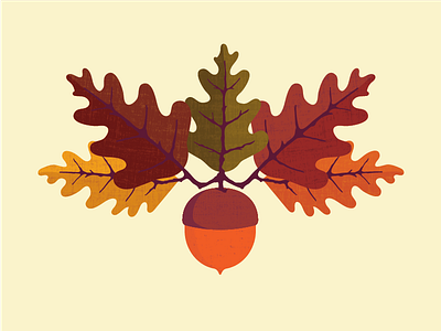 Morning Fifteen 2.0 acorn autumn fall growth harvest illustration leaves nature oak plant seed texture