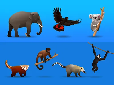 Perth Zoo Map Icons icon design illustration map map design vector icons vector illustration