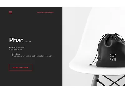 Clothing Store accessories clothes clothing collection design fat homepage interface landing page phat user