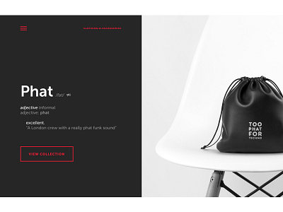 Clothing Store accessories clothes clothing collection design fat homepage interface landing page phat user