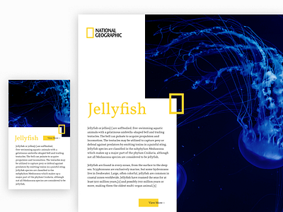 Responsive UI Practice: Nat Geo nat geo national geographic ui ui design