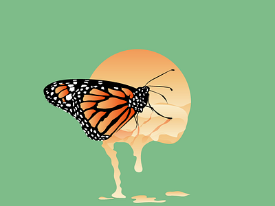 Butterfly & The sun butterfly illustration sun vector