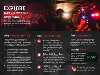 Tri-fold Brochure Inner brochure flyer print