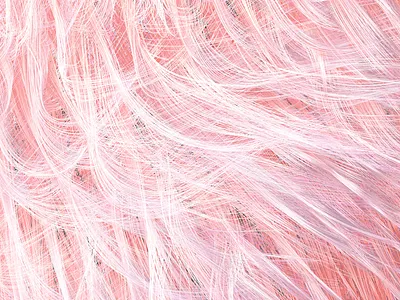 Hairy | 3D 3d aesthetic c4d composition design designstudio gradient hair illustration photorealism realistic render