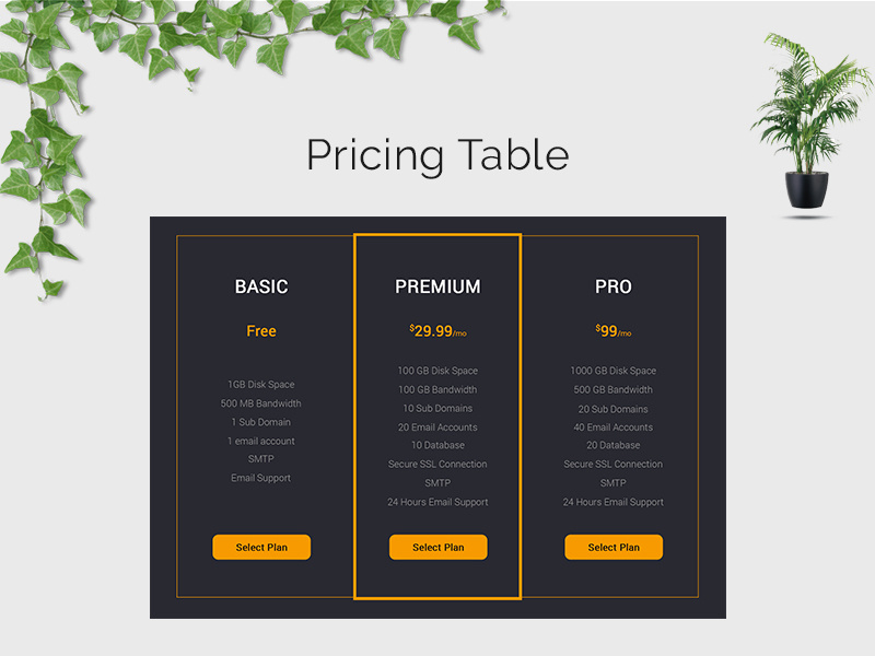 Example of Pricing Table | Pricing Chart Design