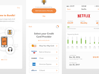 Bundlz credit card data visualization interface payment subscriptions