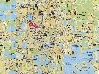 Topographic Cretinism collage cretinism maps paper topographic
