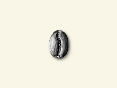 Coffe Bean Illustration