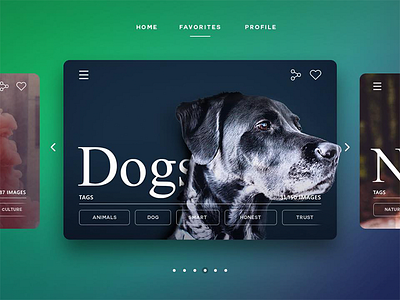 Card Slider Ui design gradient menu pet ui user interface