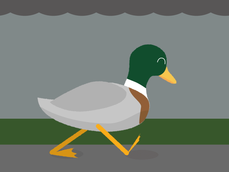 It's Lovely Weather for Ducks 3d after effects animation character character animation duck illustrator motion motion design motion graphics video