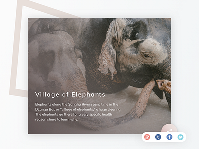 Social Share - Daily UI Day #010 🐘 010 challenge accepted daily ui dailyuichallenge design kensei minimal share ui visual design
