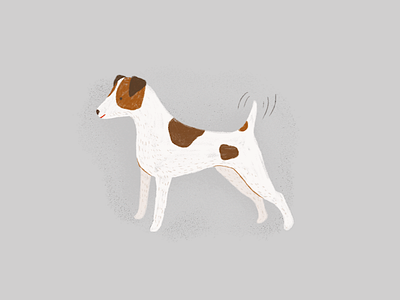 jack russel terrier animal book book illustration character dog illustration jack russel terrier