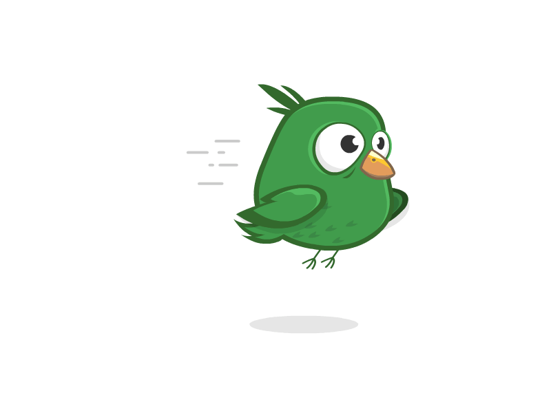 Bird Flying 2d anima bird cartoon design illustration motion tion