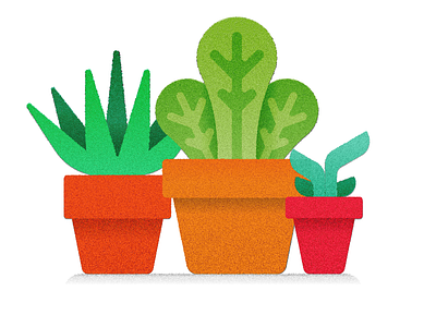 🌱🌱🌱 plants potted plants still life succulents