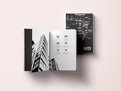 LKD Development Group booklet design estate graphic minimal modern monochrome print publication real simple