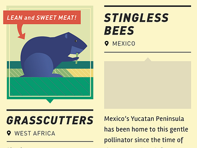 Infographic on the beasts of Heifer animal geometric grasscutters illustration infographic