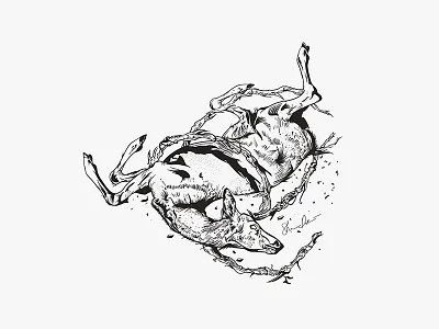 Bramble Fawn · Band Design apparel apparel design band tee clothing death design fawn illustration merch merch design shirt design tshirt