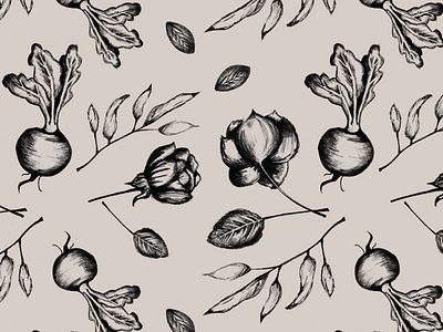 Branding for Aware Marketplace by Studio 9 Co botanical drawings branding illustrations