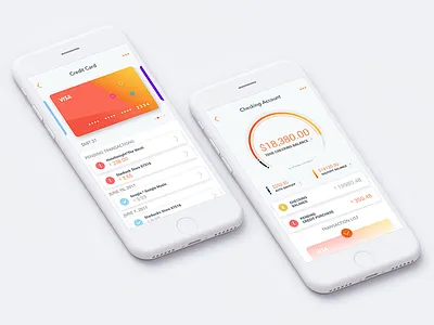 Personal Finance Application Concept app application bank card credit dashboard finance interface statistics stats track ui