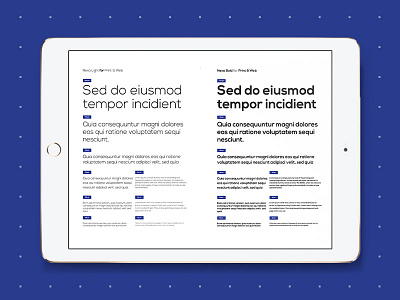 Typography Style Guide baseline brand identity branding styleguide typography