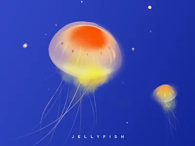 Jellyfish illustration illustration jellyfish ocean