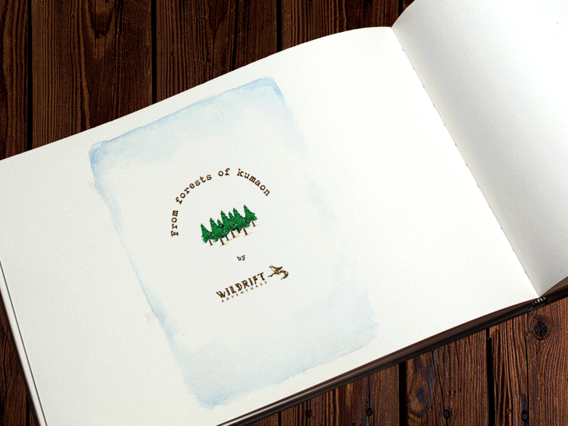 Lettering- From forests of Kumaon cards colour forests illustration kumaon lettering nature trees typogarphy water