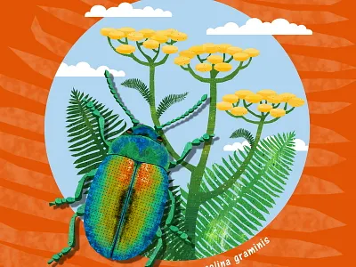 Tansy Beetle animals beetle illustration nature plant tansy