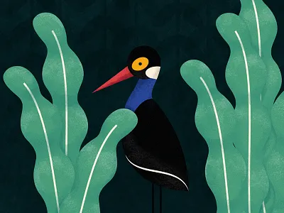 Jungle - Detail II bird game illustration jungle plants texture