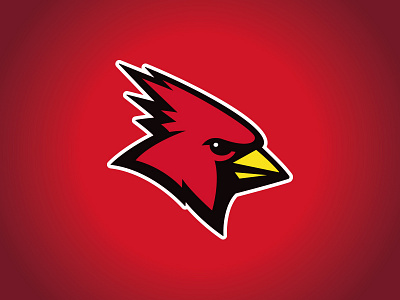 SUNY Plattsburgh Athletic Rebrand athletics bird cardinal character college custom design illustration mascot red