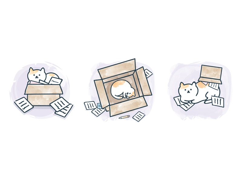 Example of Cat